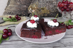 čoko-višnja-kocke1