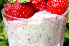 puding-jagode-terasa