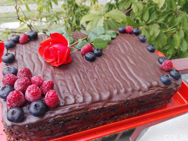 Baron sa borovnicama i malinama