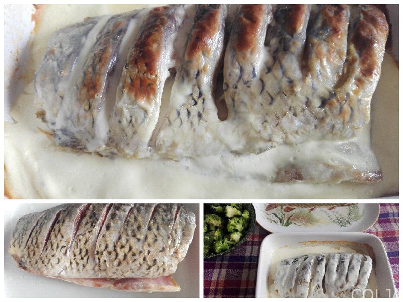 Kolaž priprema šarana