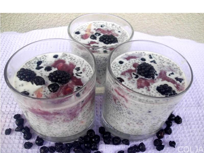 Chia sa borovnicama i kupinama1