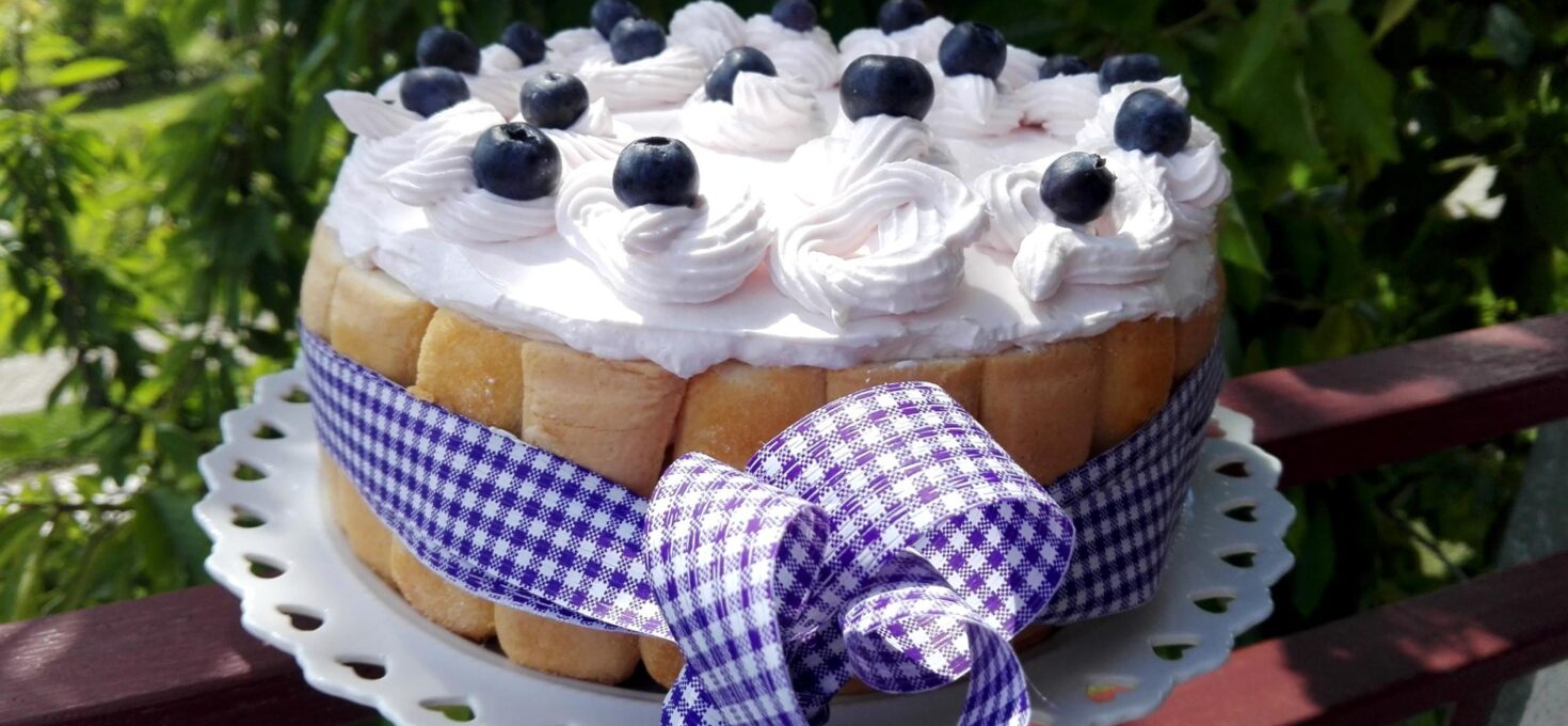 Šarlota sa voćnim jogurtom