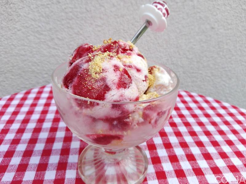 GOTOV SLADOLED sa malinama