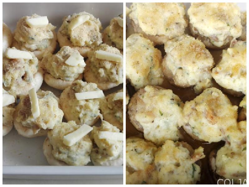 KOLAŽ 1 ŠAMPINJONI