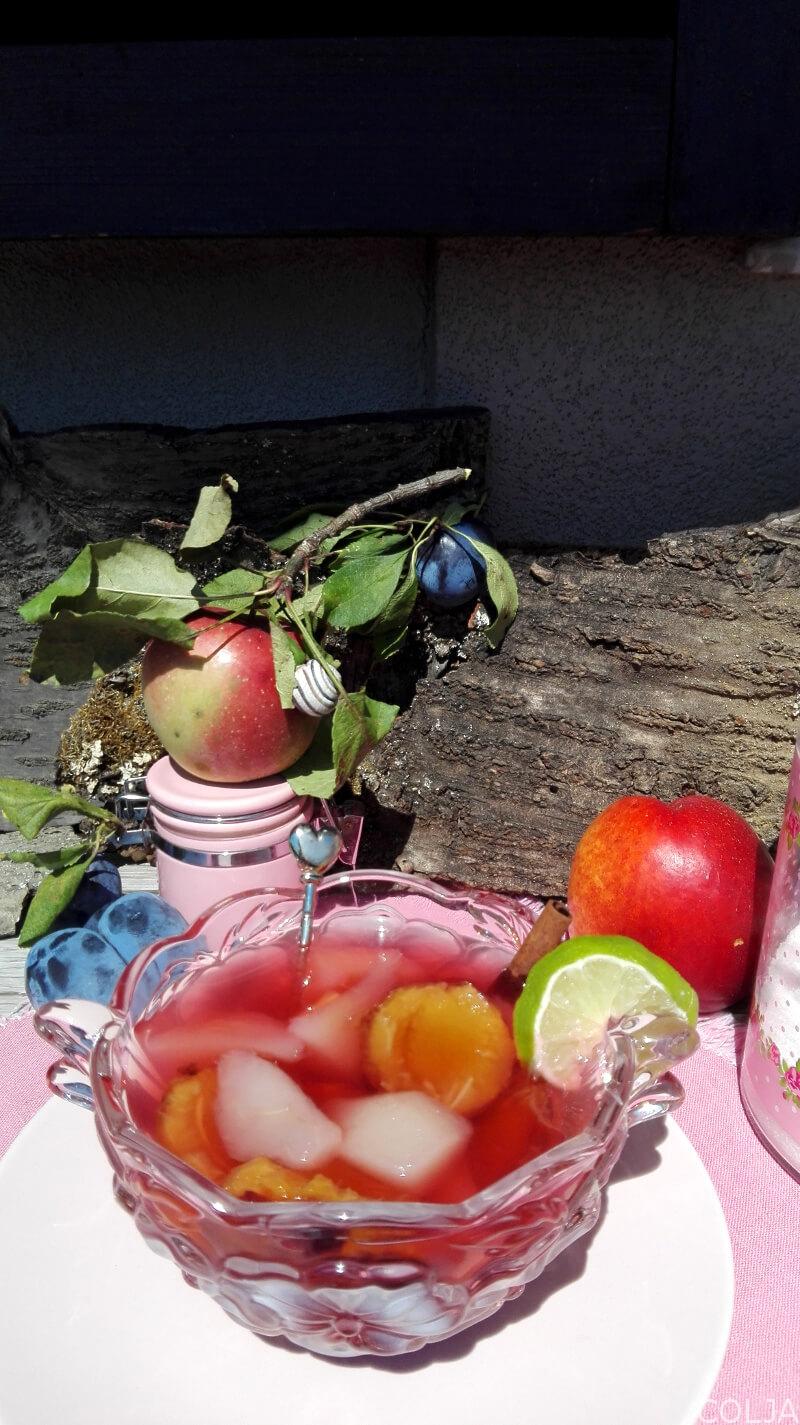 KOMPOT OD KRUŠAKA I ŠLJIVA