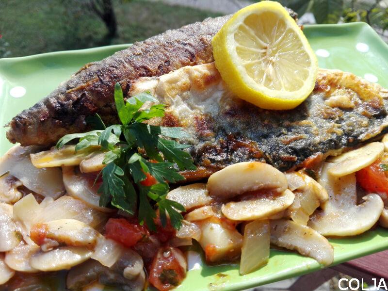 Skuša sa šampinjonima