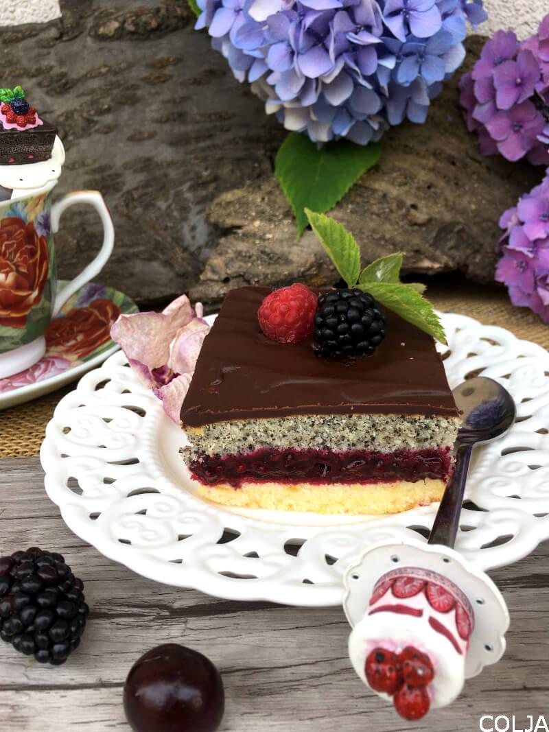 VOĆNI KOLAČ sa makom (1)