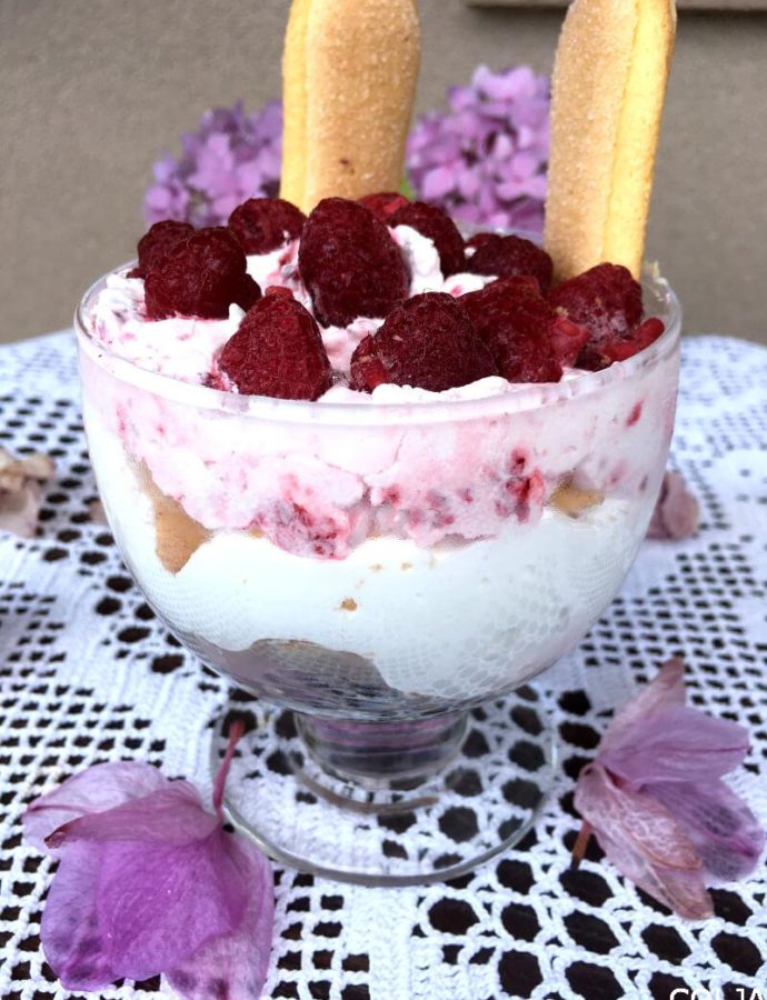 Brzi desert sa malinama